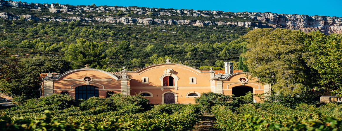 Nos propriétés viticoles